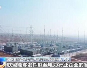 中国新型<em>储能产业</em>创新联盟在北京成立