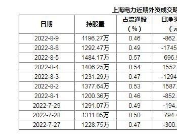 【<em>沪深股通</em>】上海电力8月9日获外资卖出0.04%股份