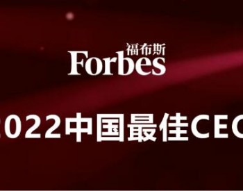 <em>王传</em>福、曾毓群、李振国等17位储能企业家入选福布斯中国最佳CEO！