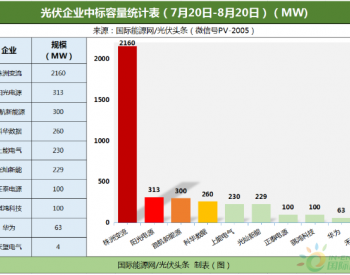 10.39GW光伏逆变器定标：株洲变流、阳光、首航、上能、<em>正泰</em>电源、禾望等企业中标！