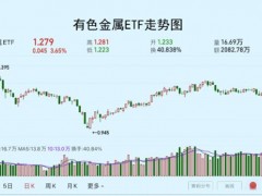 行业大佬给新能源“泼冷水”