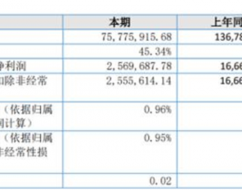 <em>爱廸新能</em>2022年上半年净利减少84.58% 光伏组件代工业务毛利较低