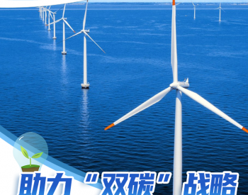 助力“雙碳”戰略 風電大有可為