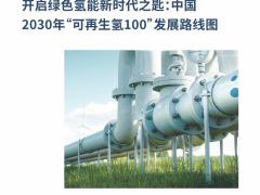 开启<em>绿色氢能</em>新时代之匙：中国2030年“可再生氢100”发展路线图