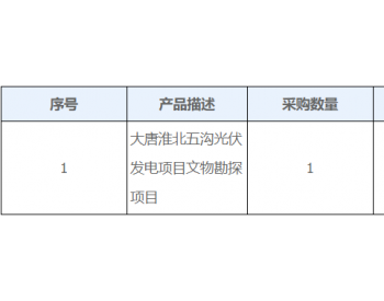 招标 | 大唐淮北五沟光伏发电项目<em>文物</em>勘探项目询价采购