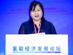 韩伟：我国氢能产业正迈入新发展阶段