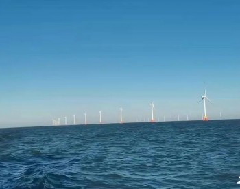 中国首个<em>强台风</em>海域风电项目过招“轩岚诺”！