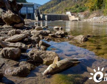 如何最大限度减小水力发电站对鱼类生存环境的破坏？