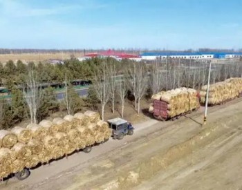 內蒙古：超40萬千瓦農林<em>生物質發電項目</em>納入發展規劃
