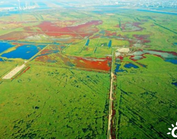 天津北大港国际重要湿地：滨海湿地 候鸟乐园