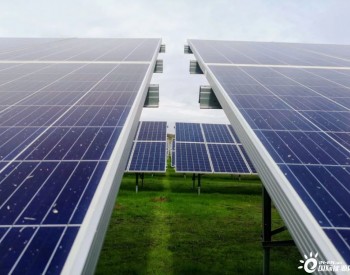 430万人！<em>全球太阳能</em>从业人员创新高