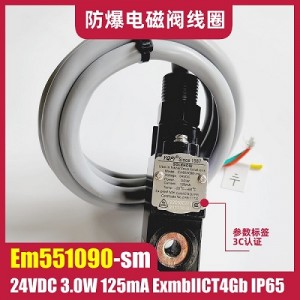 Em551090-ms 24VDC 防爆电磁阀线圈 3C