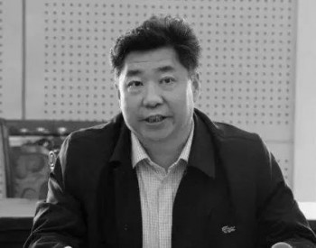 国家能源集团副总经理杨吉平突发疾病逝世