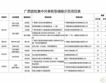 广西壮族自治区发展和<em>改革委员会</em>关于印发推进广西集中共享新型储能示范建设的通知