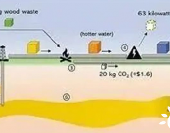 地热BECCS系统：林业废物燃烧发电 捕<em>碳封存</em>至地热田