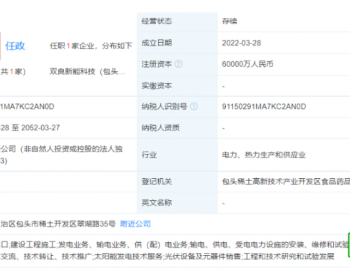 双良也开始做组件了！已规划20GW产能