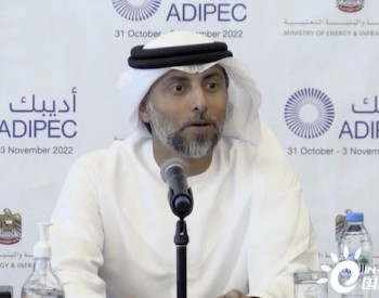 阿联酋能源部长：<em>石油减产</em>并非出于政治动机