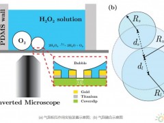 中国团队在气泡相互作用方面取得重要进展为促进水解制氢等新<em>能源技术</em>的发展提供理论基础