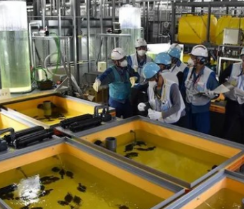 10月19日能源要闻：<em>东京电力</em>公开使用核处理水养鱼的试验！香港将建设首座加氢站！
