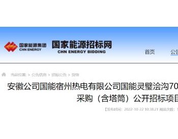 招标 | 共计120MW！这2个风电项目启动招标