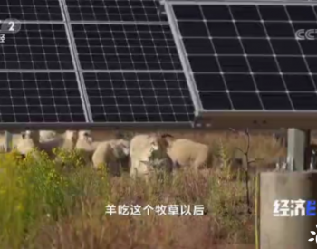 “一举三得”！光伏再上央视