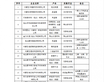 关于11月份参与内蒙古自治区战略性<em>新兴</em>产业电力交易企业名单的公示