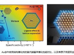 中国学者在加<em>氢催化剂</em>的精准设计方面取得进展