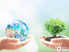 电解槽和绿色氢：我们走得够快吗？