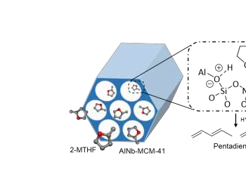 Angew. Chem. Int. Ed.：掺杂铝和铌的双金属MCM-41催化剂：将生物质衍生的2-甲基四氢呋喃有效转化为戊二烯