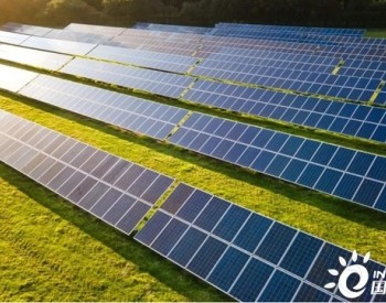 <em>电力知识</em> | 太阳能电站除提供清洁可再生能源外，还可能有利于生物多样性？