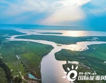 到2025年 山西黄河流域将完成天然林修复75万亩