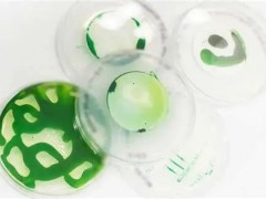 氢能——这些微生物吃油，排出便宜的清洁氢，是怎么实现的？