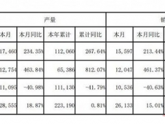 赛力斯汽车10月销量12047辆同比增长461.37%，问界