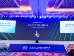 未来至少一半光伏要制氢 农村将涌现“能源合作社”