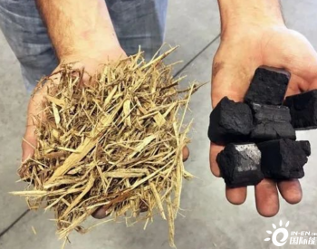 <em>生物煤</em>出口在美国森林恢复和日本脱碳中的潜在作用