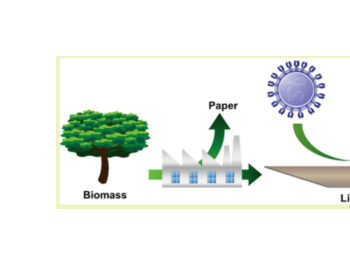 ACS <em>Sustainable</em> Chem. Eng. | 木质素：一种可持续的抗病毒涂层材料