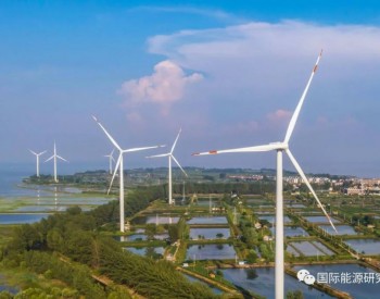 南方电网：优化能源结构 推动绿色发展