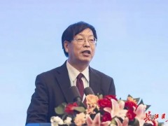 国家电投集团氢能首席专家：湖北武汉具备<em>氢能源汽车</em>发展独特优势