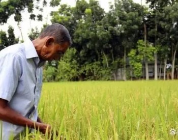 核科学帮助孟加拉国农民抵御<em>气候变化</em>