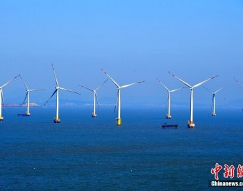 “風”起福建 海上風電屢破紀錄