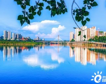 重庆市潼南区：“沉浸式”暗访监督 助推生态环境