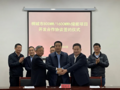 宝光智中、<em>华电集团</em>与安徽桐城签订800MW/1600MWh储能项目合作协议