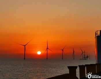 全国首个海上风电+海洋牧场项目并网发电！