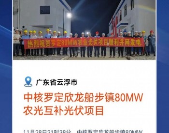 80MW！中国核电在粤建设的首个<em>农光互补项目</em>并网发电