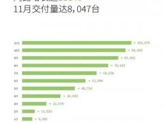 新势力11月成绩单公布 谁能提前锁定<em>冠军</em>