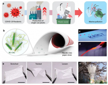 Advanced Science：可生物降解、耐水、防起泡的聚酯<em>纳米纤维</em>素复合纸吸管
