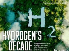 氢的十年：清洁氢的全球竞赛意味着新的<em>地缘政治</em>和相互依存