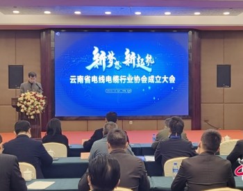 云南省电线电缆行业协会揭牌成立