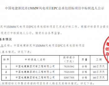 中标 | 15.6亿元！中国电建中标300MW<em>风电EPC项目</em>