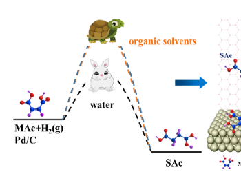 ACS SUSTAIN CHEM ENG | 追踪氢源，巧辨机理：溶剂水辅助参与马来酸加氢制备<em>丁二酸</em>路线构筑